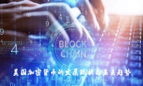 美国加密货币的发展现状与未来趋势