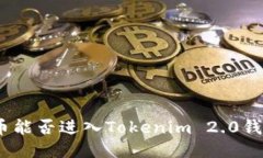 假币能否进入Tokenim 2.0钱包?