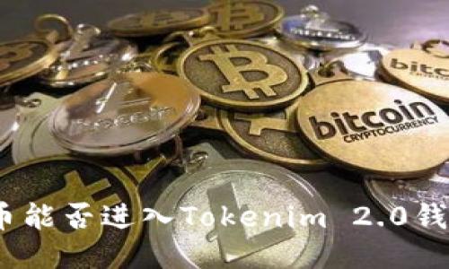 假币能否进入Tokenim 2.0钱包?