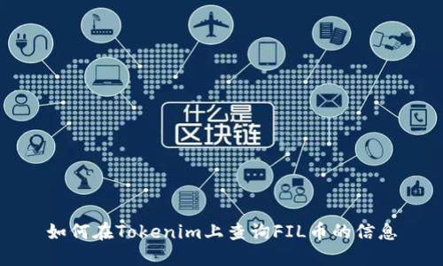 如何在Tokenim上查询FIL币的信息