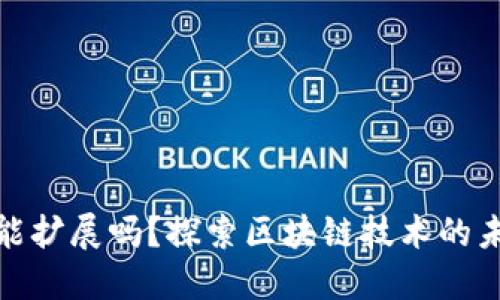 加密货币能扩展吗?探索区块链技术的未来与挑战