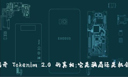 揭开 Tokenim 2.0 的真相:它是骗局还是机会?