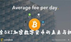 探索BKI加密数字货币的未来与机遇