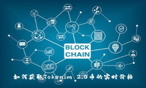如何获取Tokenim 2.0币的实时价格