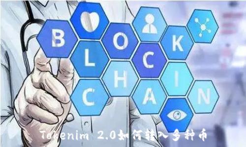 Tokenim 2.0如何转入多种币
