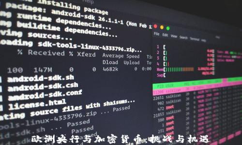 欧洲央行与加密货币:挑战与机遇