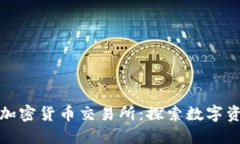 新加坡本土加密货币交易所:探索数字资产的新