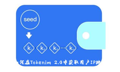 如何在Tokenim 2.0中获取用户IP地址