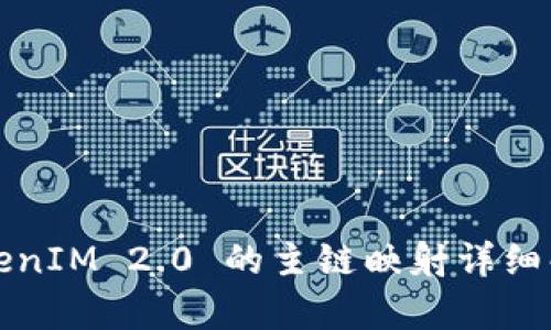 TokenIM 2.0 的主链映射详细解析