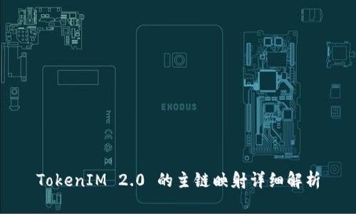 TokenIM 2.0 的主链映射详细解析