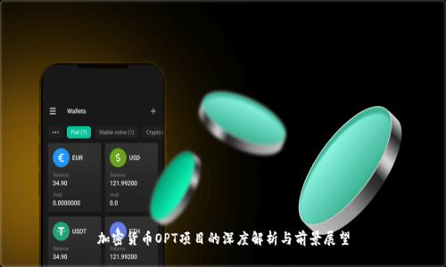 加密货币OPT项目的深度解析与前景展望