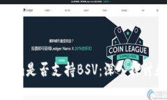 Tokenim是否支持BSV:深入探讨和分析