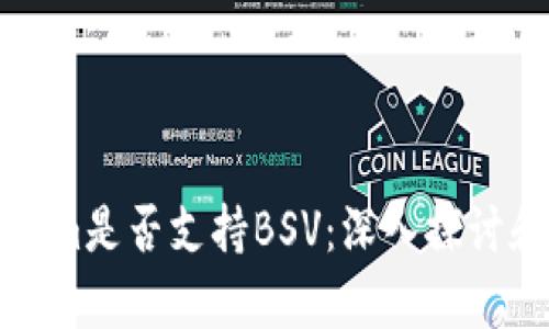 Tokenim是否支持BSV:深入探讨和分析