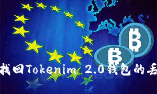 : 如何找回Tokenim 2.0钱包的丢失密匙