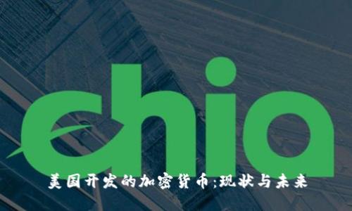美国开发的加密货币:现状与未来