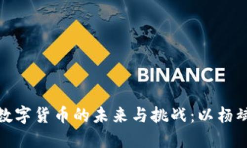 加密数字货币的未来与挑战:以杨斌为例