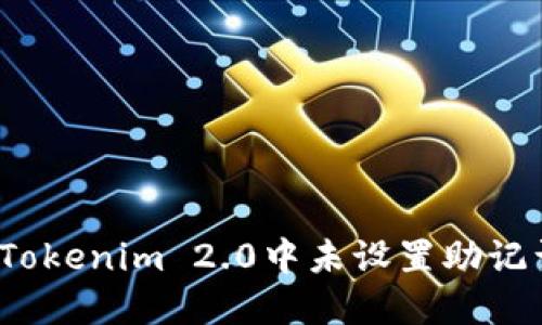 如何处理Tokenim 2.0中未设置助记词的情况？