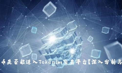 传销币是否能进入Tokenim交易平台?深入分析与解读