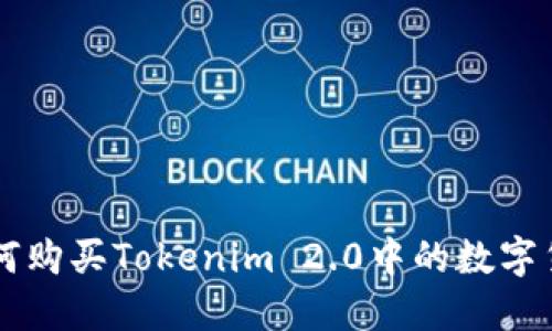 如何购买Tokenim 2.0中的数字货币
