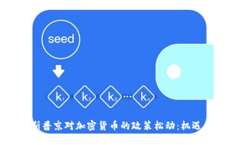 俄罗斯普京对加密货币的政策松动:机遇与挑战
