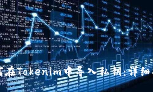 如何在Tokenim中导入私钥:详细指南