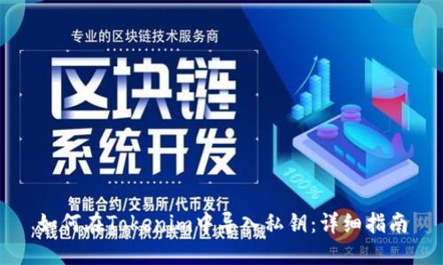 如何在Tokenim中导入私钥:详细指南