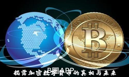 
揭露加密数字货币的真相与未来