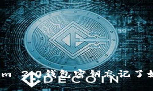 : Tokenim 2.0钱包密钥忘记了如何恢复?