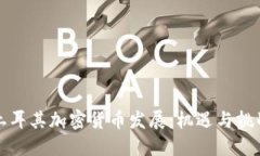 土耳其加密货币发展:机遇与挑战