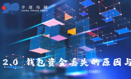 Tokenim 2.0 钱包资金丢失的原因与应对策略