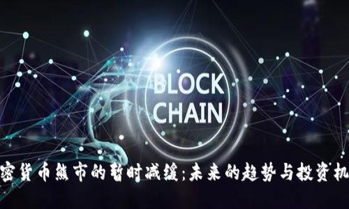 加密货币熊市的暂时减缓:未来的趋势与投资机会