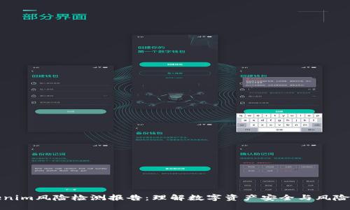 Tokenim风险检测报告:理解数字资产安全与风险管理