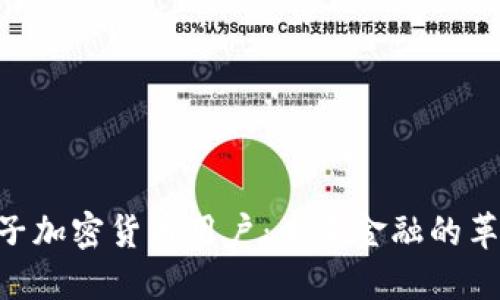 baioti电子加密货币用户:未来金融的革新参与者