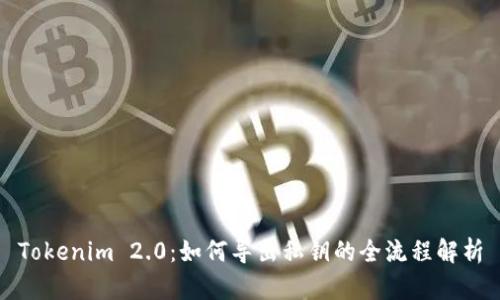 Tokenim 2.0:如何导出私钥的全流程解析