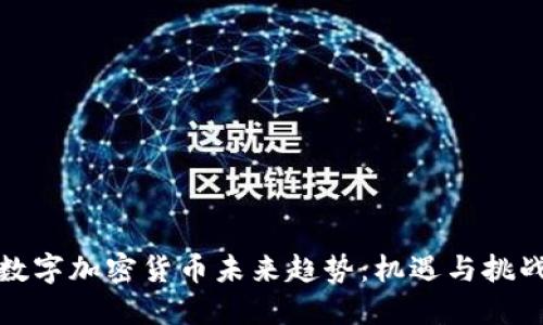 数字加密货币未来趋势:机遇与挑战