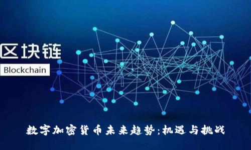 数字加密货币未来趋势:机遇与挑战