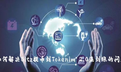 如何解决Bitz提币到Tokenim 2.0未到账的问题