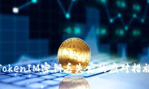 TokenIM密钥丢失后的应对措施
