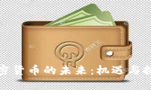 加密货币的未来：机遇与挑战