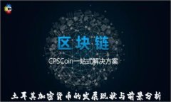 土耳其加密货币的发展现状与前景分析