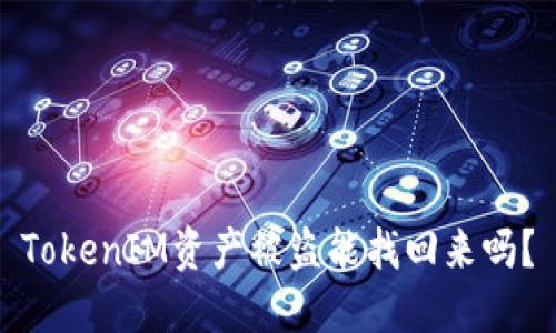 TokenIM资产被盗能找回来吗?