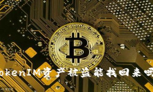 TokenIM资产被盗能找回来吗?