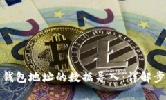 如何将一个空钱包地址的数据导入：详解步骤与