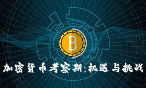 加密货币考察期:机遇与挑战