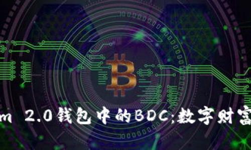 探秘Tokenim 2.0钱包中的BDC:数字财富的未来之钥