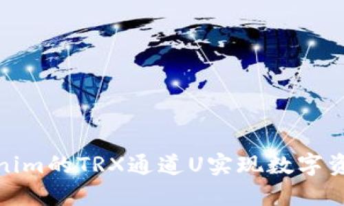 如何通过Tokenim的TRX通道U实现数字资产的快速增值
