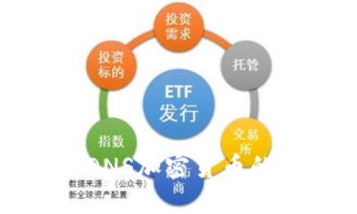 彻底抵制DNS加密货币的安全策略