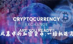 土耳其金融风暴中的加密货币：一场机遇与挑战