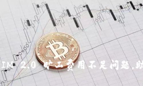 如何解决 TokenIM 2.0 旷工费用不足问题，助力项目持续发展