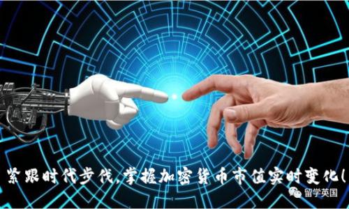 紧跟时代步伐，掌握加密货币市值实时变化！